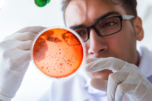 Chemist working in the laboratory with hazardous chemicals