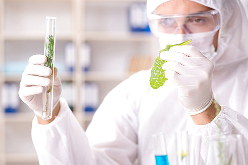 Biotechnology scientist chemist working in lab