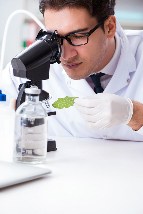 Biotechnology scientist chemist working in lab