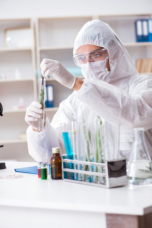 Biotechnology scientist chemist working in lab