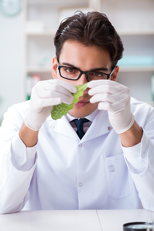 Biotechnology scientist chemist working in lab