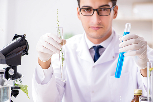 Biotechnology scientist chemist working in lab