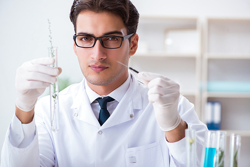 Biotechnology scientist chemist working in lab