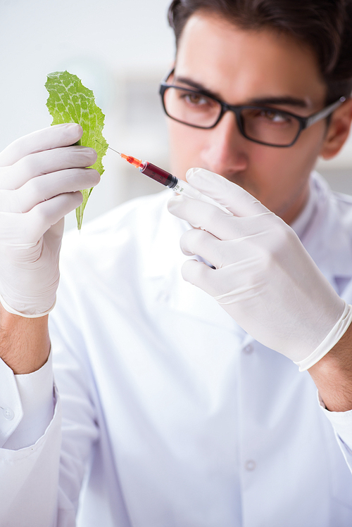 Biotechnology scientist chemist working in lab