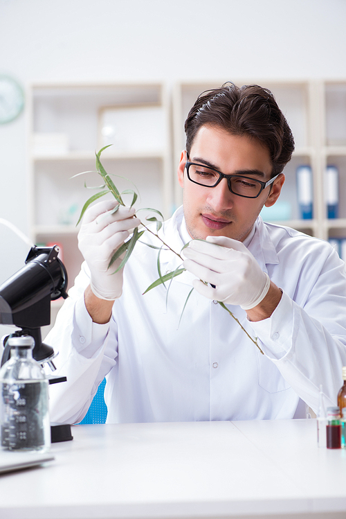 Biotechnology scientist chemist working in lab