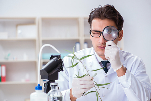 Biotechnology scientist chemist working in lab