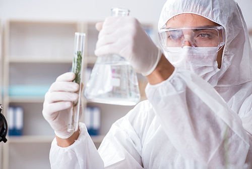 Biotechnology scientist chemist working in lab