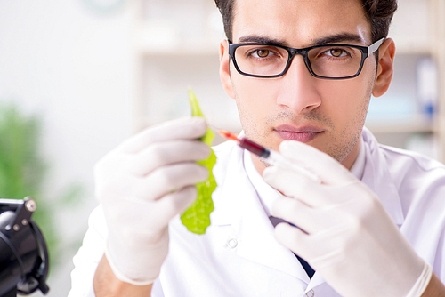 Biotechnology scientist chemist working in lab