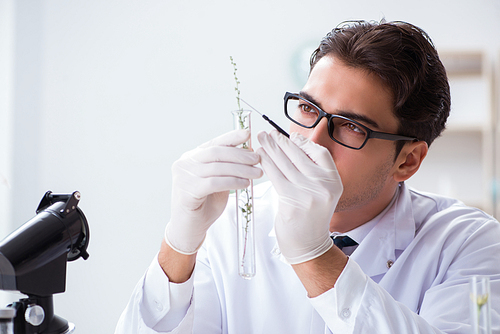 Biotechnology scientist chemist working in lab