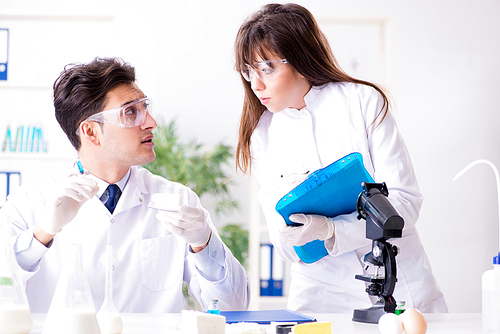 Two lab doctor testing food products