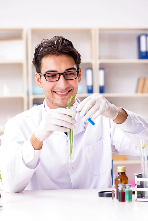 Biotechnology scientist chemist working in lab