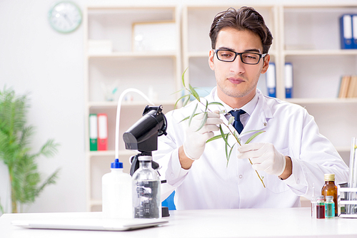 Biotechnology scientist chemist working in lab