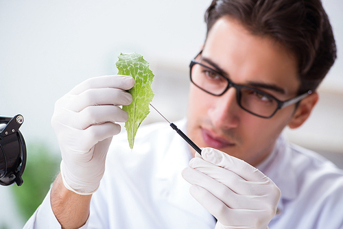 Biotechnology scientist chemist working in lab