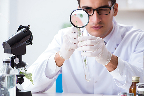 Biotechnology scientist chemist working in lab