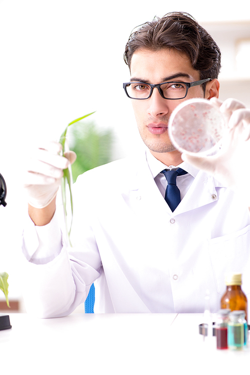 Biotechnology scientist chemist working in lab