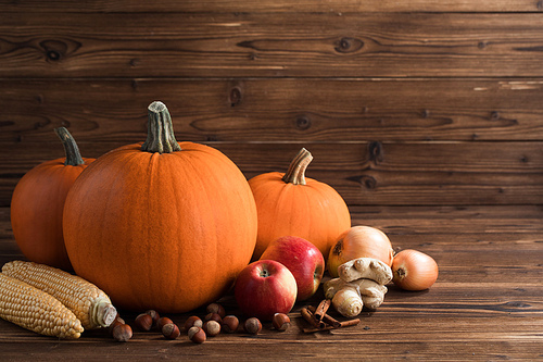 Autumn harvest still life with pumpkins, apples, hazelnut, corn, ginger, onion and cinnamon on wooden background