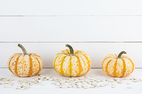 three orange pumpkins and seeds on white wooden background,  concept