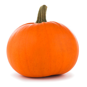 One orange pumpkin isolated on white background, Halloween concept
