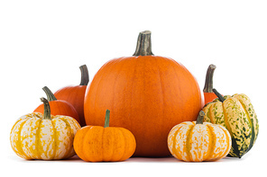 Group of various kinds of pumpkins isolated on white background