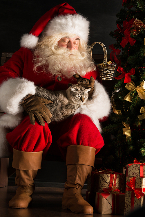 Santa Claus sitting near Christmas tree and embracing his cat. Santa at home