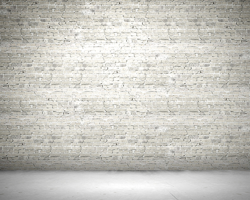 Blank wall made of bricks. Place for text
