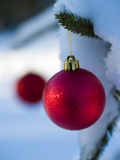 christmas tree red ball decoration with real snow