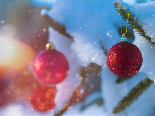 christmas tree red ball decoration with real snow