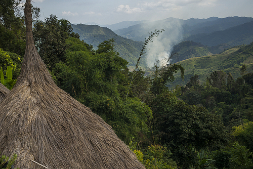 Thatched roofed houses in village in mountainous area, Chiang Rai, Thailand