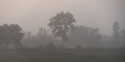 Misty landscape in early morning, Chiang Rai, Thailand