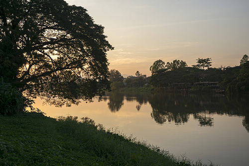 Silhouette of trees at riverside at sunset, Chiang Rai, Thailand