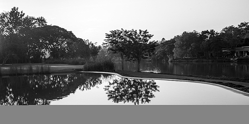 Reflection of trees in water, Chiang Rai, Thailand