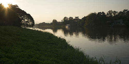 Trees along river, Chiang Rai, Thailand