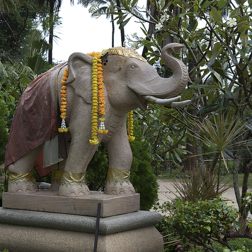 Statue of elephant, Koh Samui, Surat Thani Province, Thailand