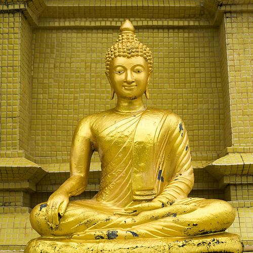 Close-up of Buddha statue in temple, Koh Samui, Surat Thani Province, Thailand