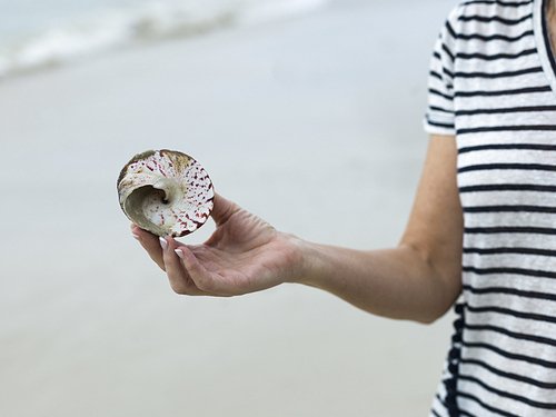 Close-up of person holding conch shell, Koh Samui, Surat Thani Province, Thailand