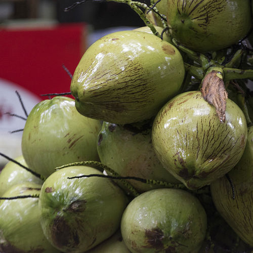 Close-up of heap of coconuts, Koh Samui, Surat Thani Province, Thailand