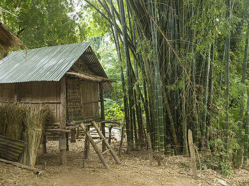 Hut in bamboo forest, Ban Gnoyhai, Luang Prabang, Laos