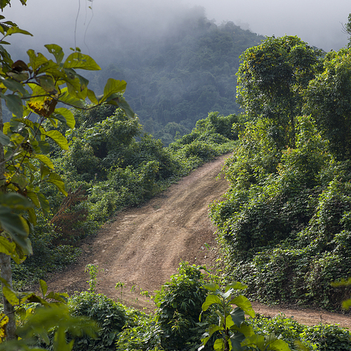 Elevated view of dirt road, Luang Prabang, Laos