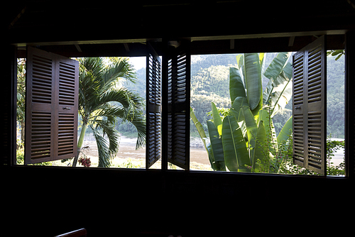 Trees seen through from window, Oudomxay Province, Laos
