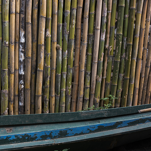 Close-up of bamboo posts, Luang Prabang, Laos