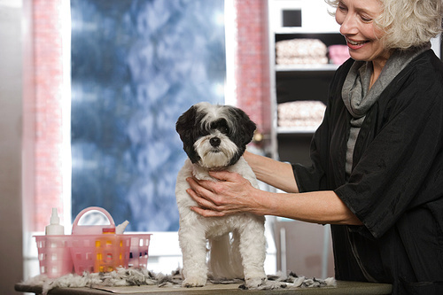 Woman and dog at pet grooming salon