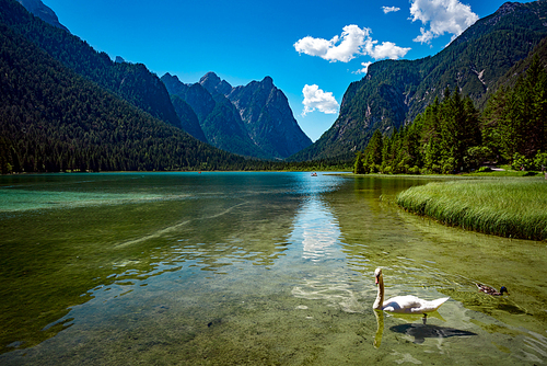 Lake Dobbiaco in the Dolomites, Beautiful Nature Italy natural landscape Alps.