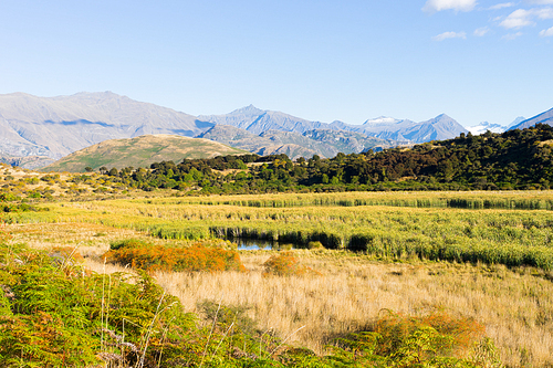 Natural landscape of New Zealand alps and field