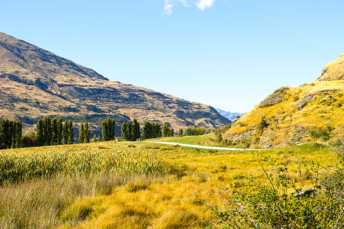 Natural landscape of New Zealand alps and meadows