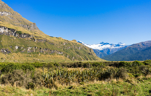 Natural landscape of New Zealand alps and meadows