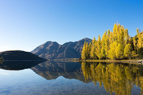 Natural landscape of New Zealand alps and lake