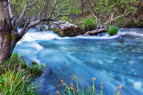 Beautiful small river in forest