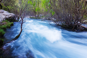 Beautiful small river in forest