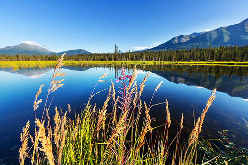 Serenity lake in Alaskan tundra