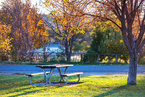 Picnic table on the grass